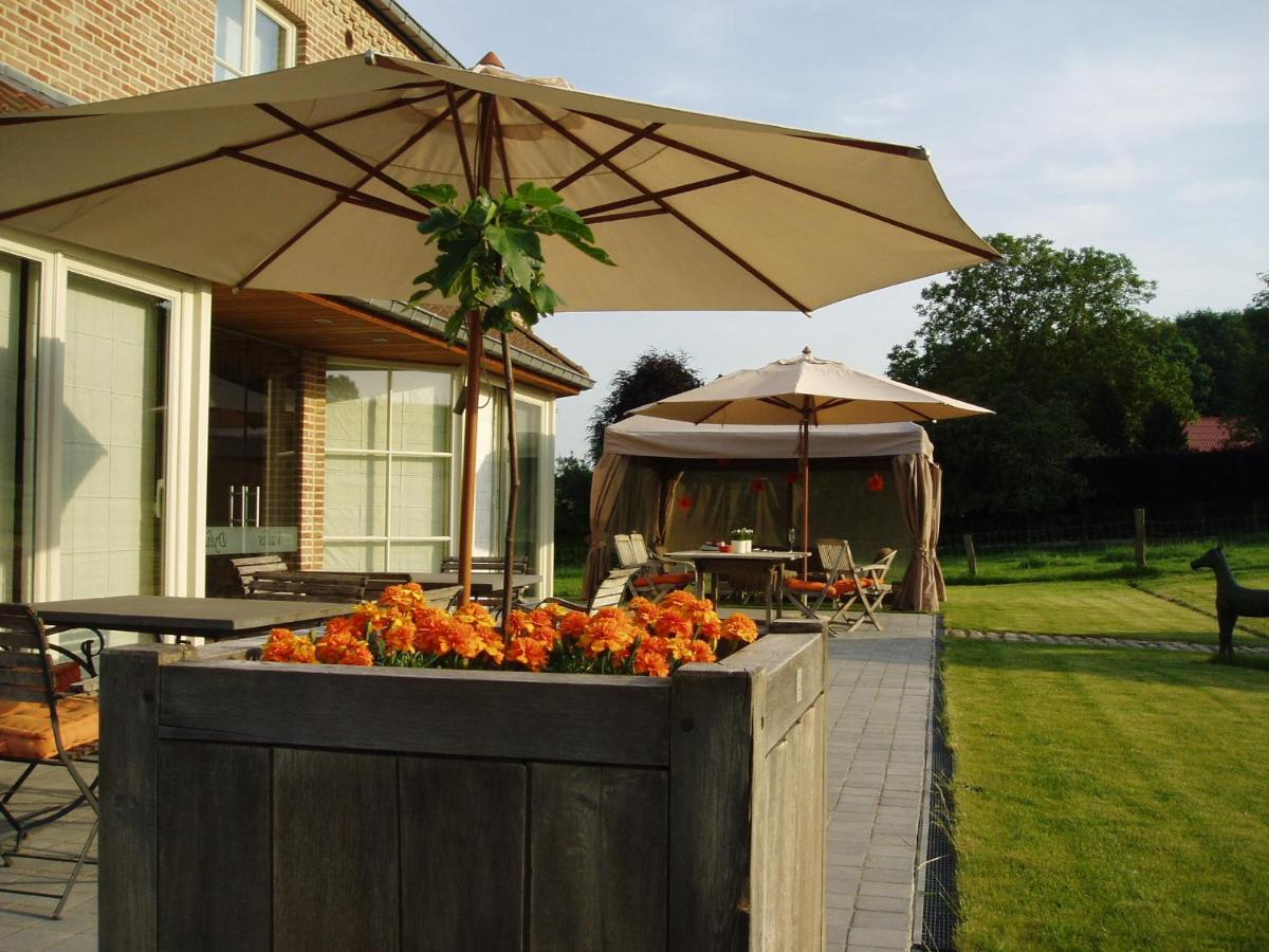 b&b vallis dyliae korbeek dille lage patio