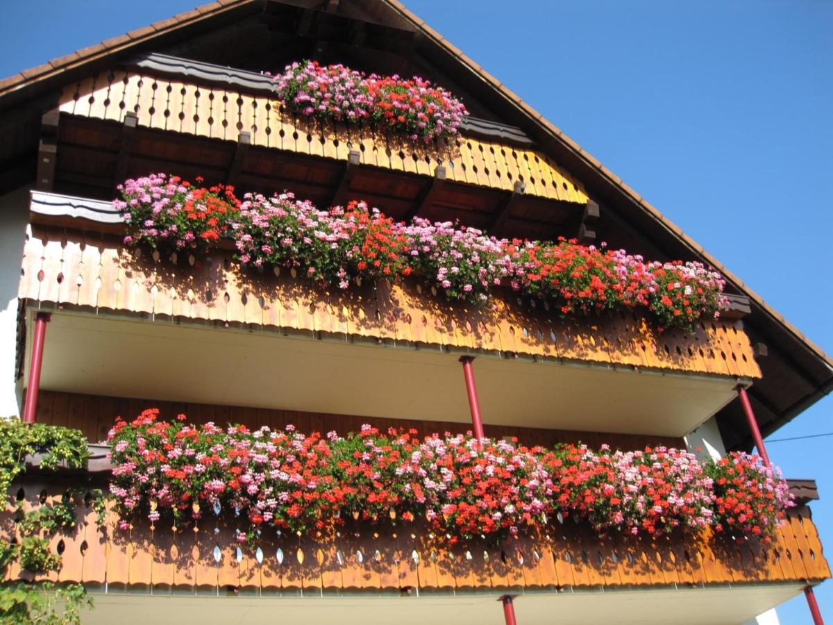 haus hilda fechtig uhlingen birkendorf schwarswald fron view
