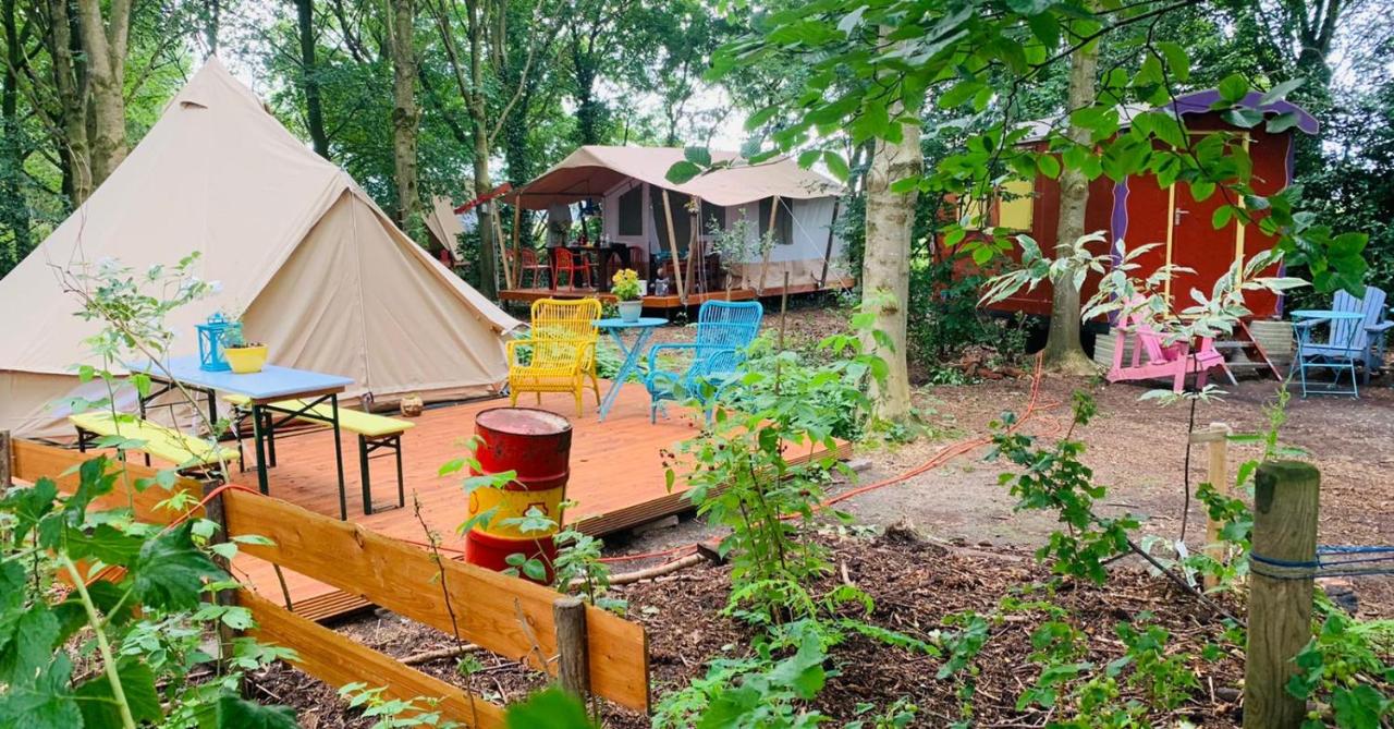 hotel eco camping de helleborus groningen fælles plads