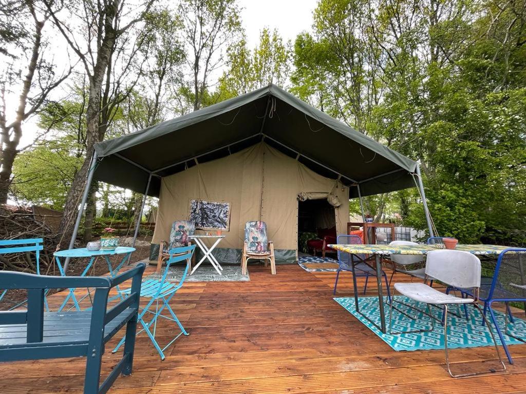 hotel eco camping de helleborus groningen udendørs