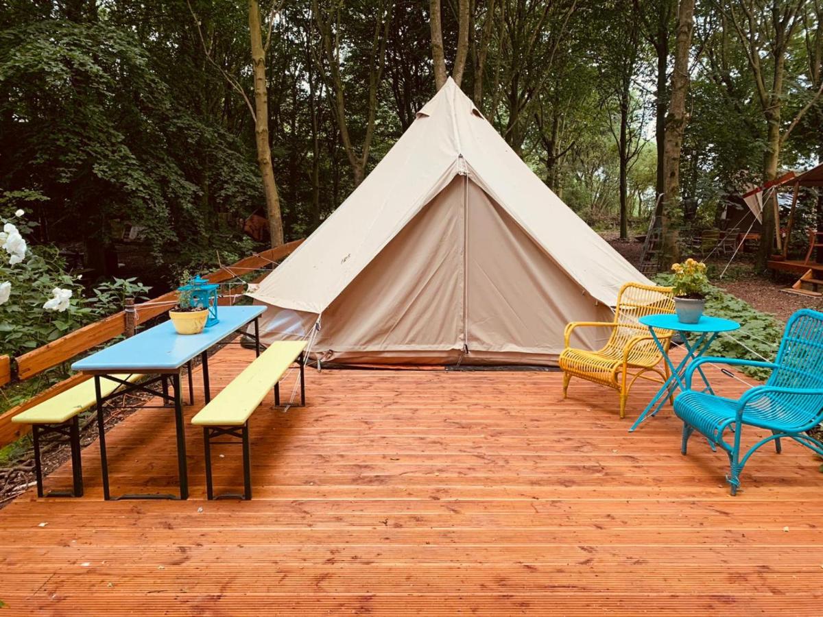 hotel eco camping de helleborus groningen tæller