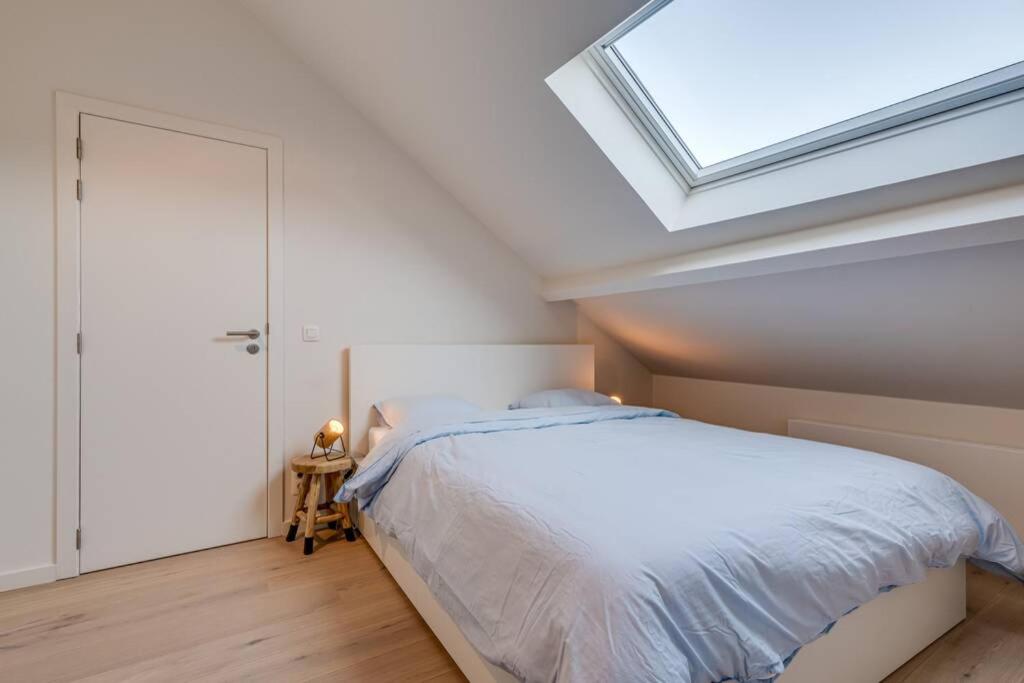 suite hartje leuven lage kamer