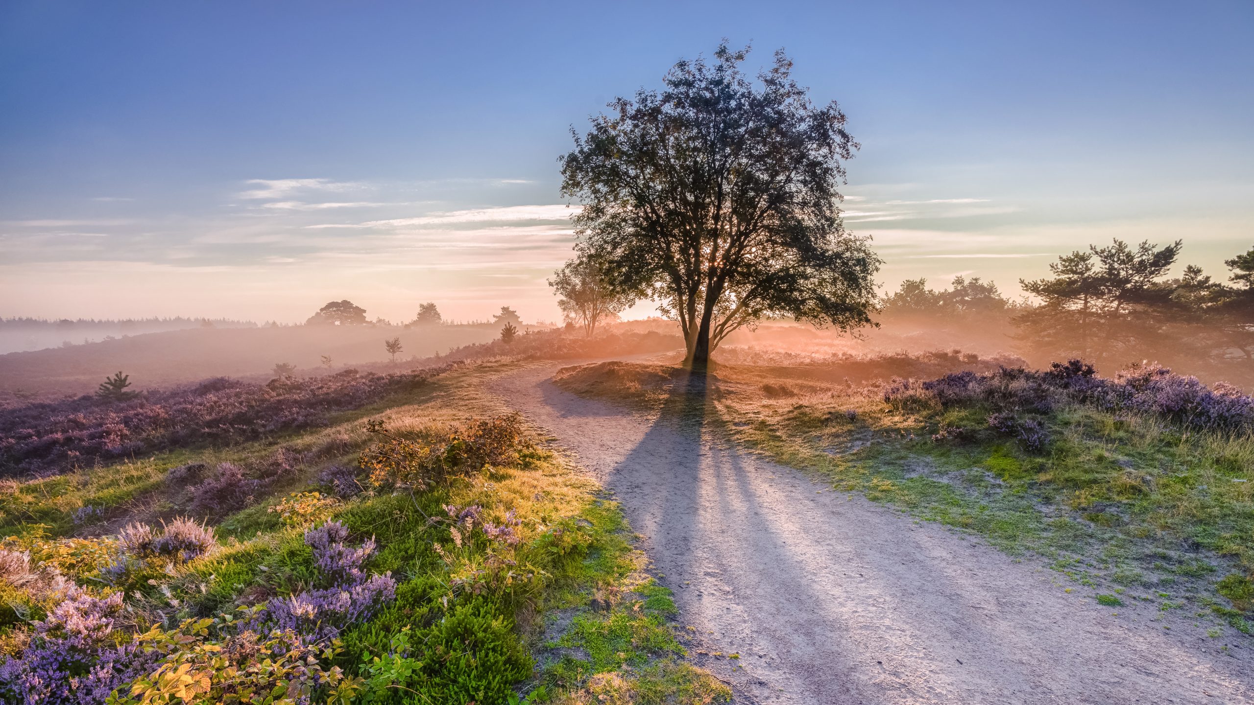 blog romantiske hoteller veluwe