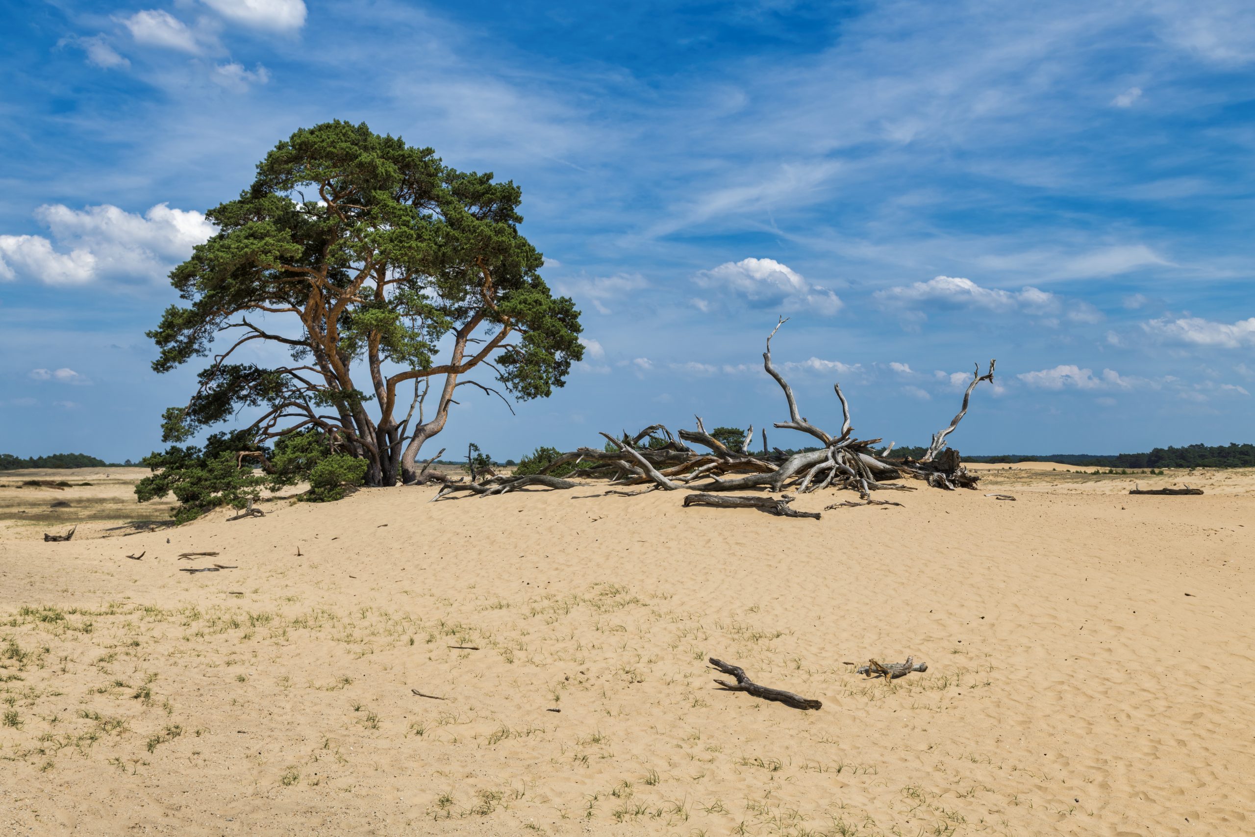 blog romantiske hoteller veluwe