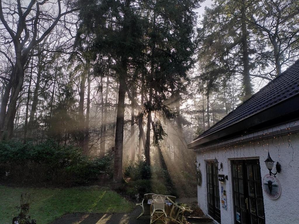 herberg de eexter os eext drenthe natuur