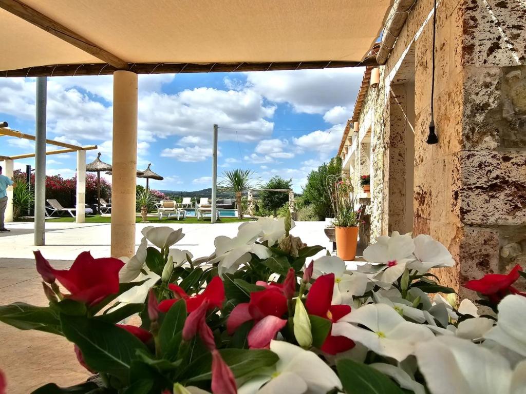 agriturisme es raco de maria maria de la salut mallorca