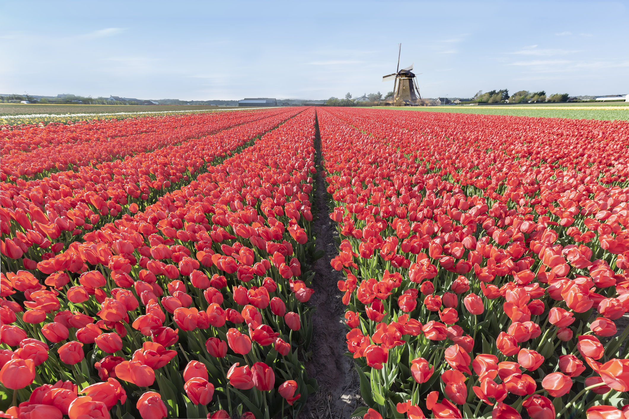 Ultimate Guide til Top 10 Sightseeing i Holland