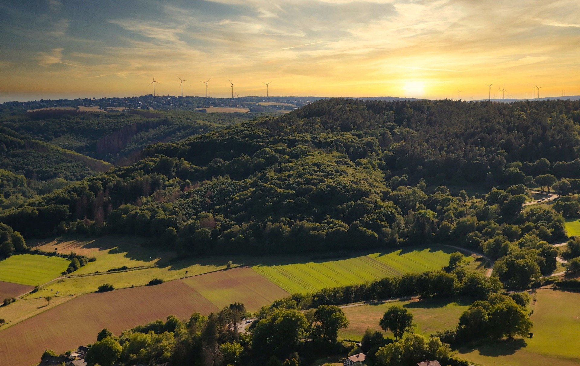 hotel eifel hollandsk ejer